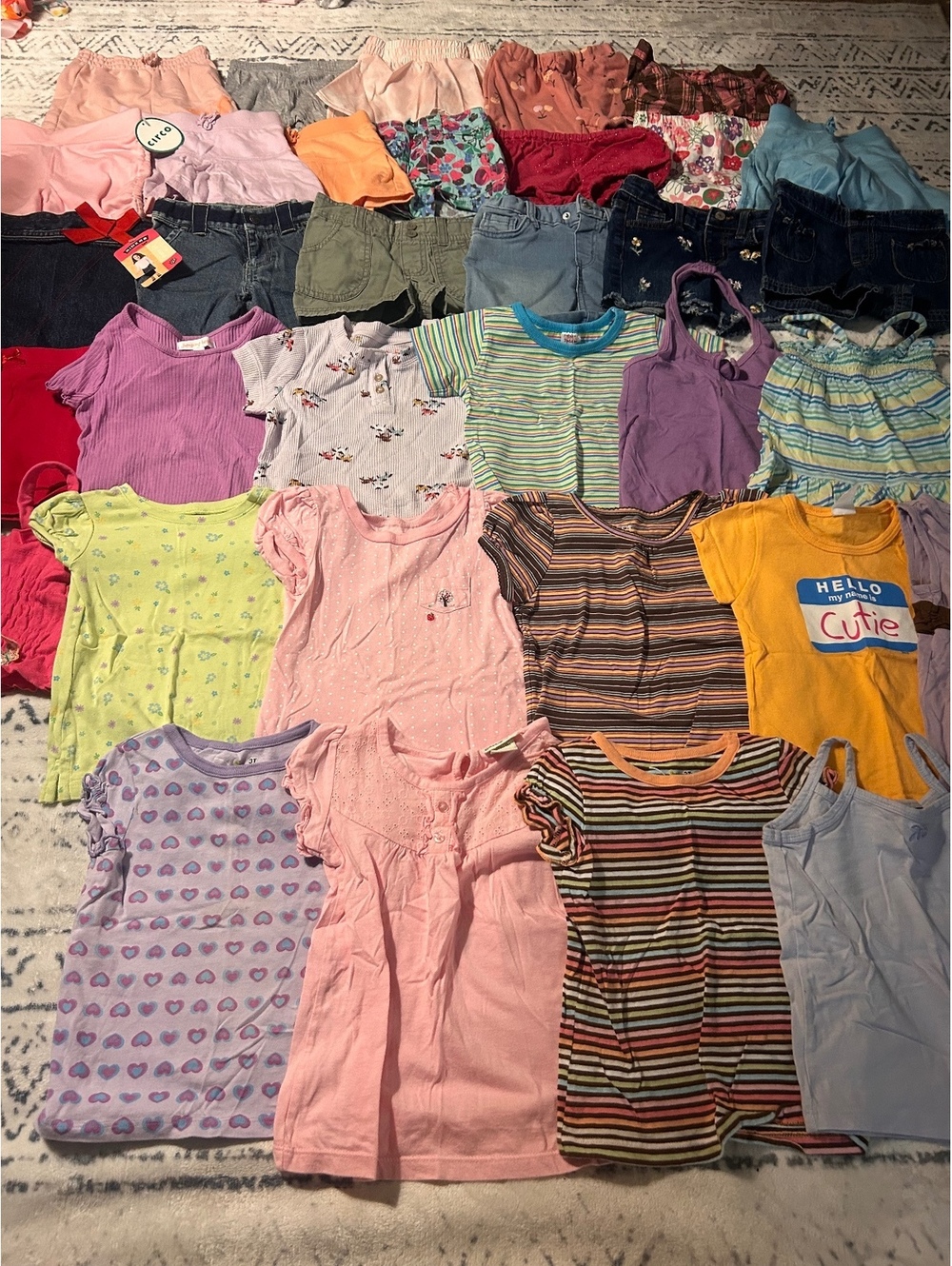 Mixed Lot of Toddler Girls' Clothing Size 3T - Variety of Tops, Shorts, and Skir